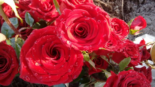 foto:Isabel Maryann  Rodríguez  Gallardo  - lo hecho en México