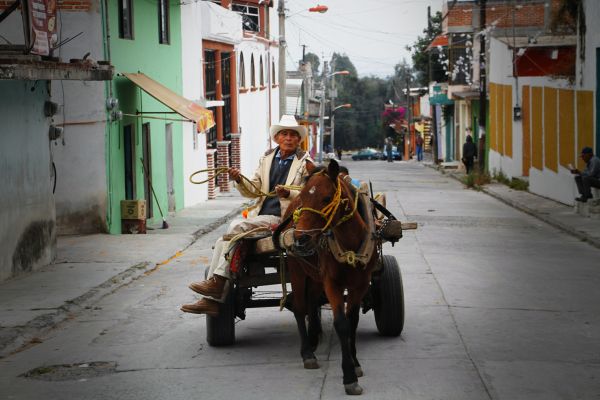 foto:Lennin farid Evangelista Rojas - lo hecho en México