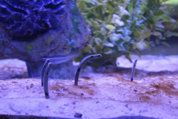 foto:kimberly yahayra vazquez gonzalez - lo hecho en México