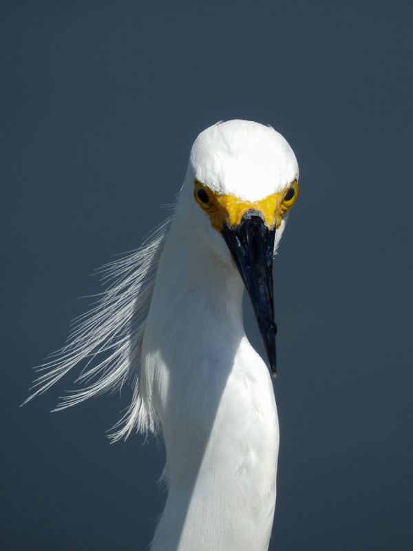 foto:Claudia Castillo Cabrera - lo hecho en México