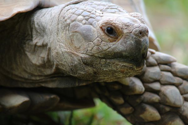 foto:Ameyalli Cruz Martínez - lo hecho en México