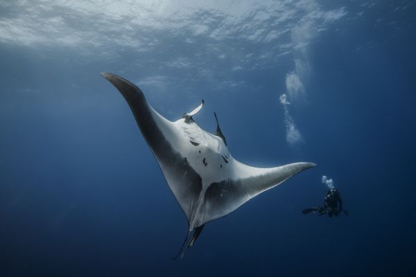 foto:Guillermo Arturo Viveros Mateos - lo hecho en México