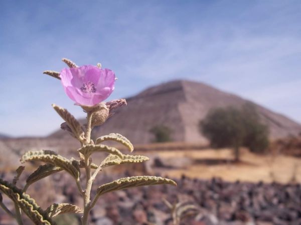 foto:Ricardo Gcanton Burgos - lo hecho en México