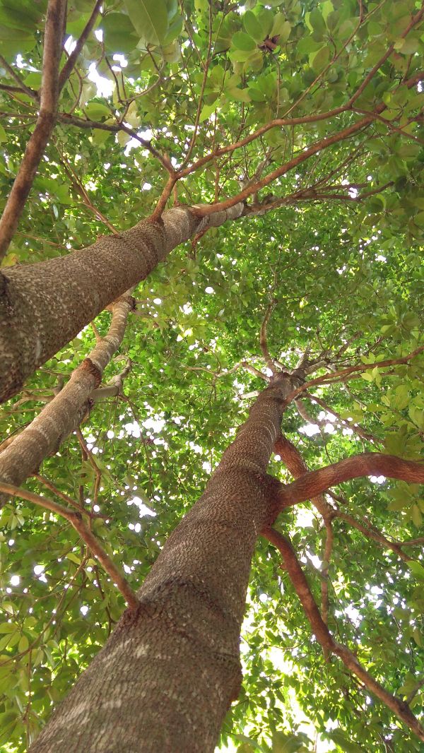 foto:Erika Trinidad Magaña Ruiz - lo hecho en México