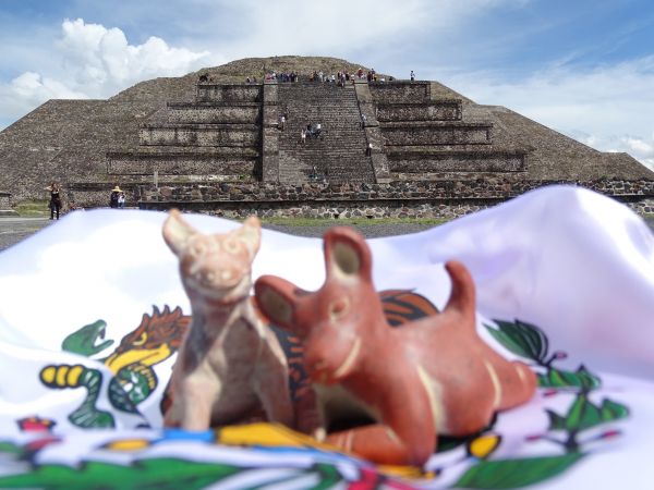 foto:MARINA DOMINGUEZ GONZALEZ - lo hecho en México