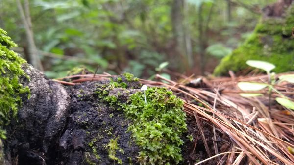 foto:Julio Esteva Ramírez - lo hecho en México