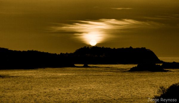 foto:jorge alejandro reynoso garcia pelayo - lo hecho en México