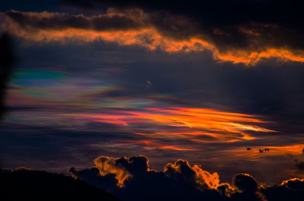 foto:Benito Armando Jiménez Benavides - lo hecho en México