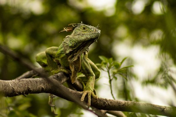 foto:Mario Alberto León Beltrán - lo hecho en México