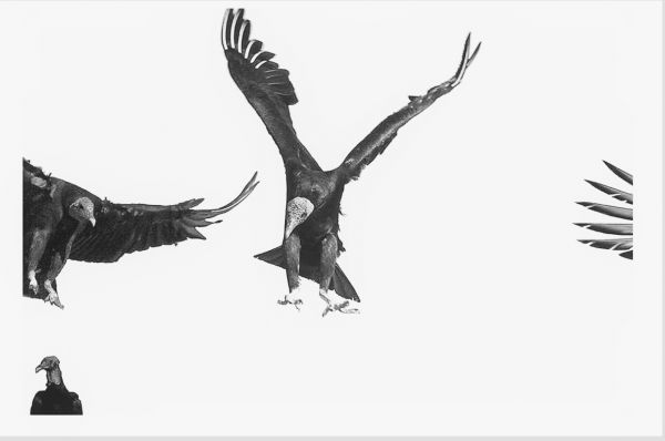 foto:Nuri Escudero Mendoza - lo hecho en México