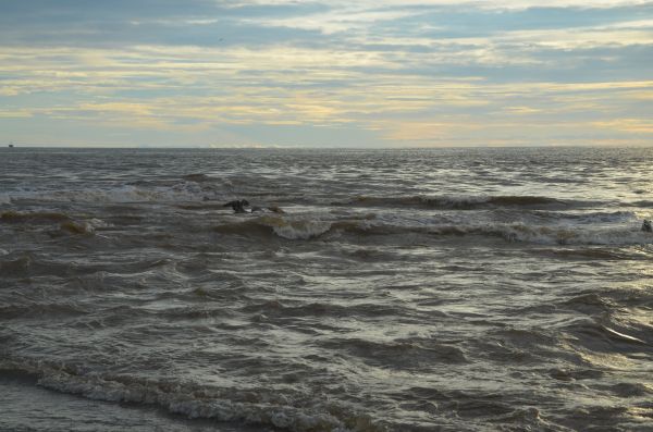 foto:Tamara von Berner Serbolov Palos - lo hecho en México