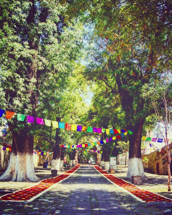 foto:Enrique Rosas Mejia - lo hecho en México
