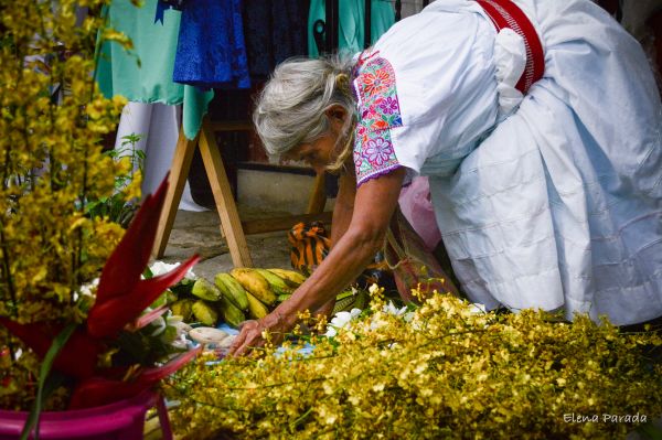 foto:Rosa Elena  Báez  Parada - lo hecho en México