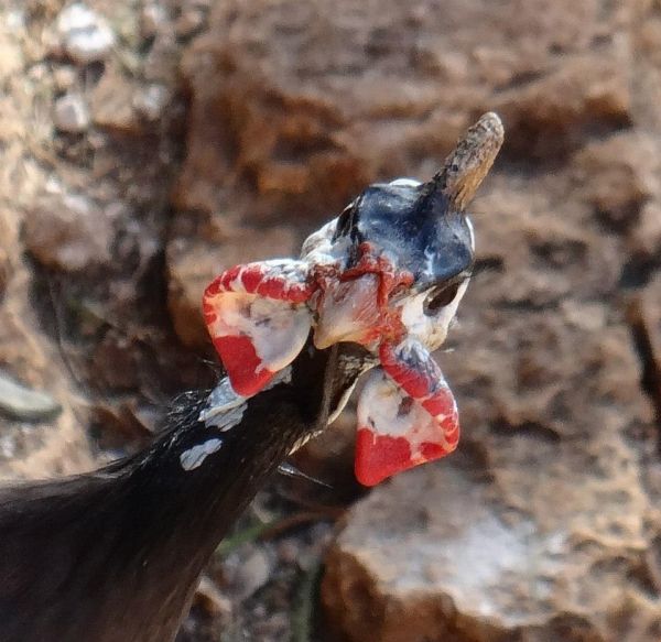 foto:Armando Medina Millet - lo hecho en México