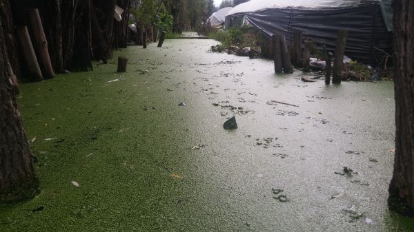 foto:Pablo Ramirez Ventura - lo hecho en México