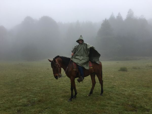 foto:Ariadna Hernández  Paz - lo hecho en México