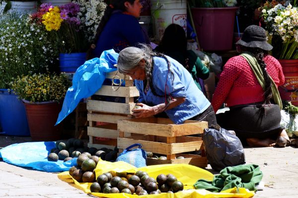 foto:RUTH REGNET ANASTASIA - lo hecho en México