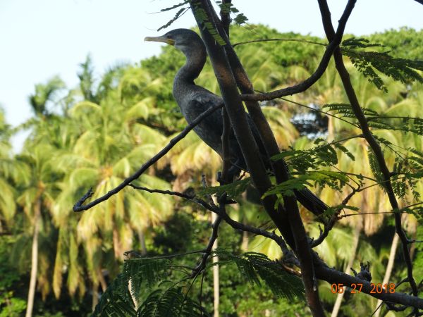 foto:Ana Luisa Hernández  Chacón - lo hecho en México