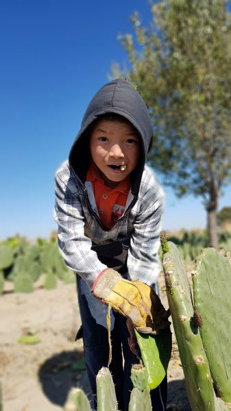 foto:domingo celaya vargas - lo hecho en México