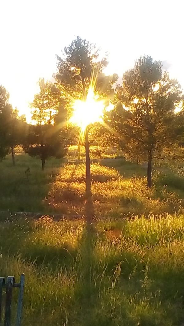 foto:Roxanna  Rojas  Castillo  - lo hecho en México