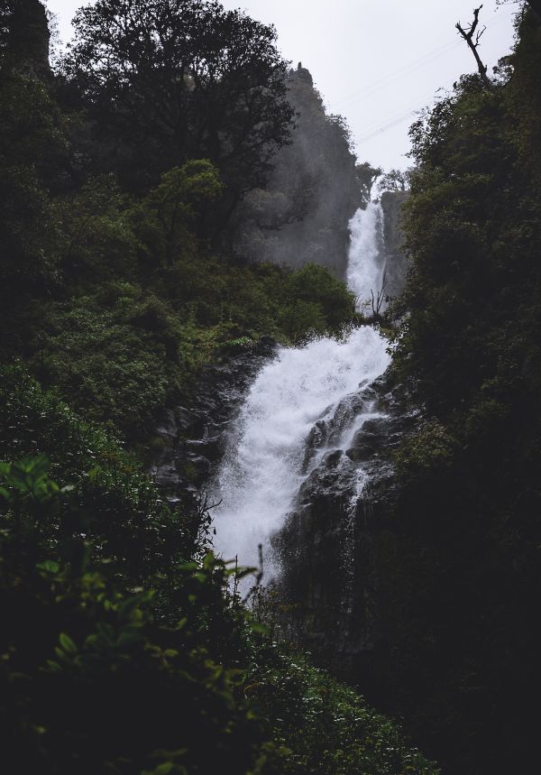 foto:Miguel Ángel Borja Eddy - lo hecho en México