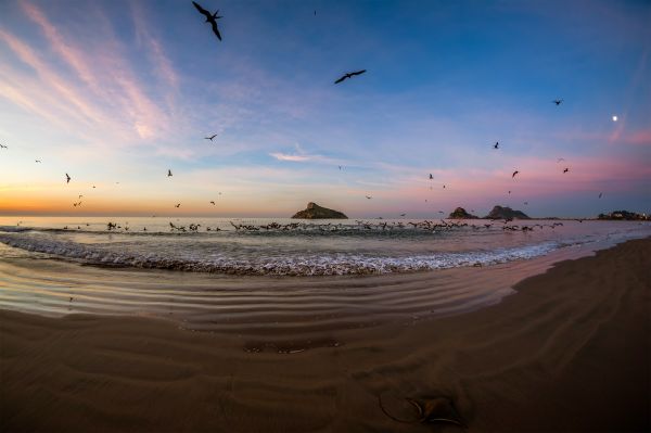 foto:Leonardo Murúa Jiménez - lo hecho en México