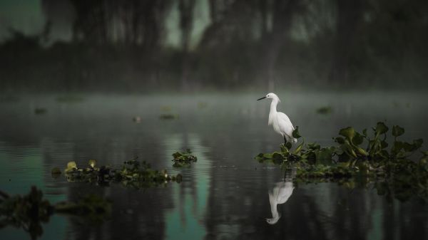 foto:ALEJANDRO Mejía Islas - lo hecho en México