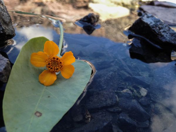 foto:iris sebastian baez - lo hecho en México