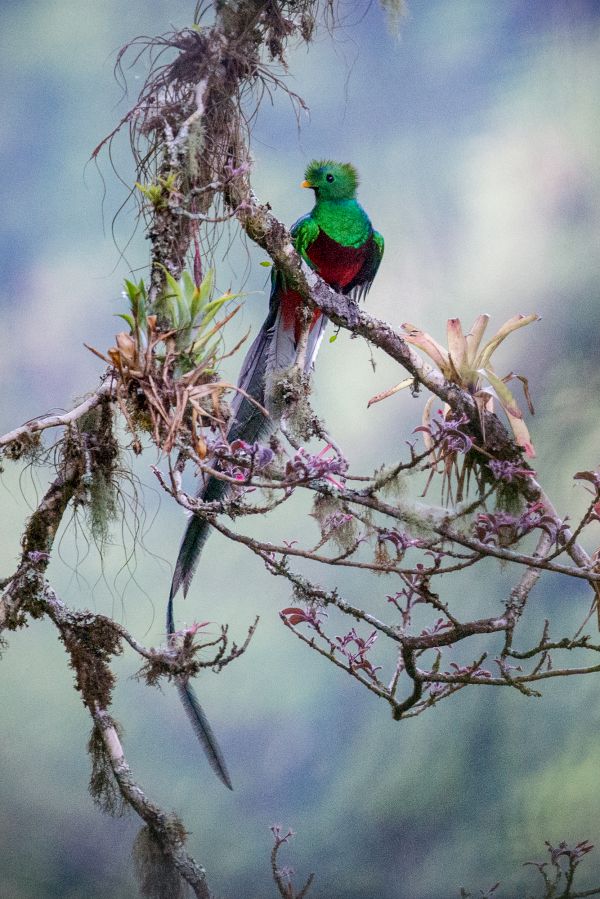 foto:Miguel Ángel Cruz Ríos - lo hecho en México