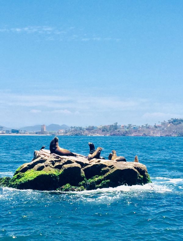 foto:Ahilyn Pineda Sol  - lo hecho en México