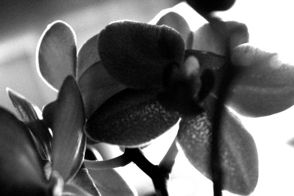 foto:Paloma  González Reyes - lo hecho en México