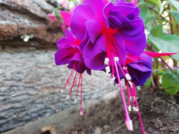 foto:Angie Ailyn  Fabián  García  - lo hecho en México