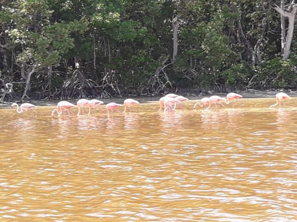 foto:Rosa Delia Salazar Aguirre - lo hecho en México