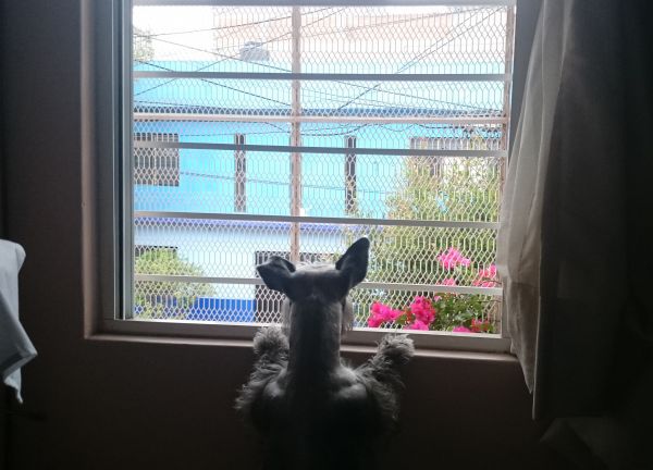foto:Ricardo Rosales Alpide - lo hecho en México