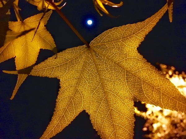 foto:Andrea Sánchez Balleza - lo hecho en México