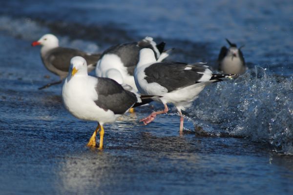 foto:Rafael  Chávez. González - lo hecho en México