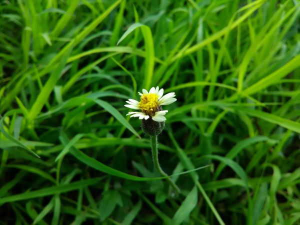 foto:Karla Arenas Palomares - lo hecho en México