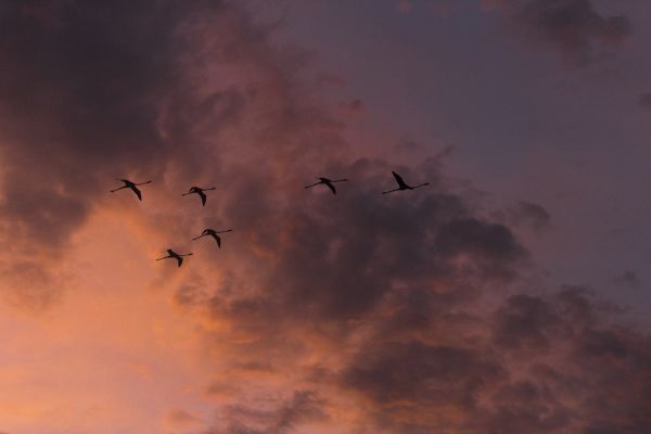 foto:Andrea Álvarez  Ortiz  - lo hecho en México