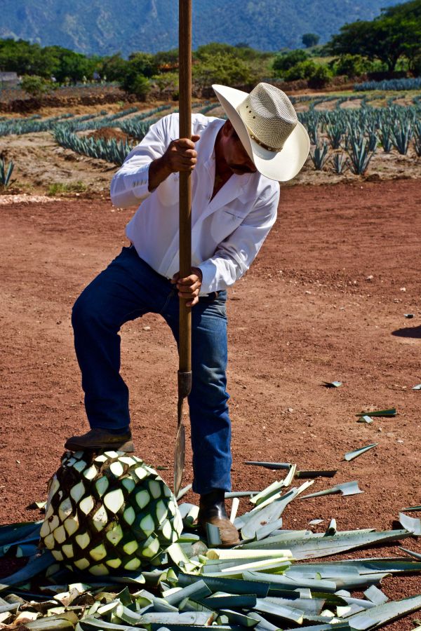 foto:María del Carmen  Lobo Niembro - lo hecho en México
