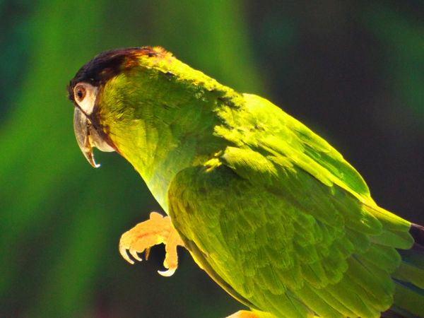 foto:Jesus Gaucin Delgado - lo hecho en México