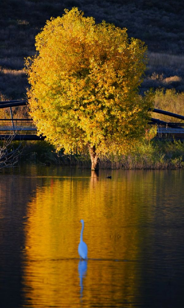foto:Juan Francisco  Aguilera  Aguirre  - lo hecho en México
