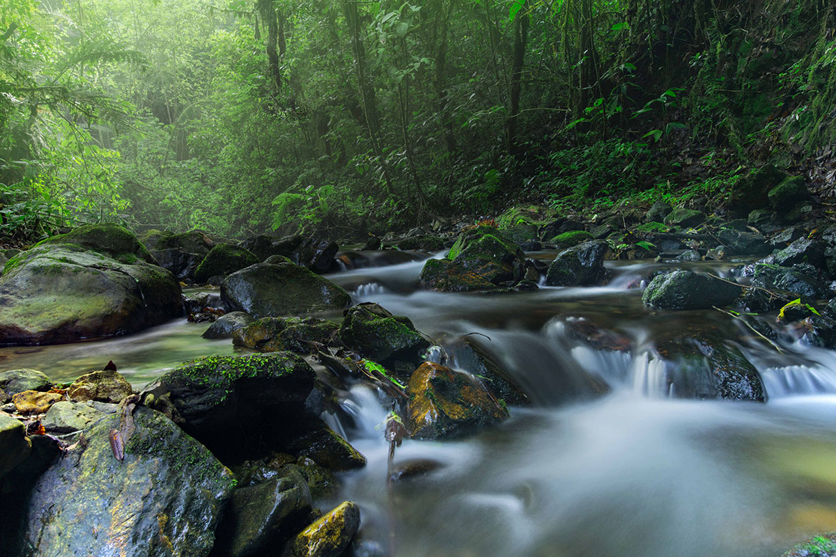 foto:Ana amtmann lopez - lo hecho en México