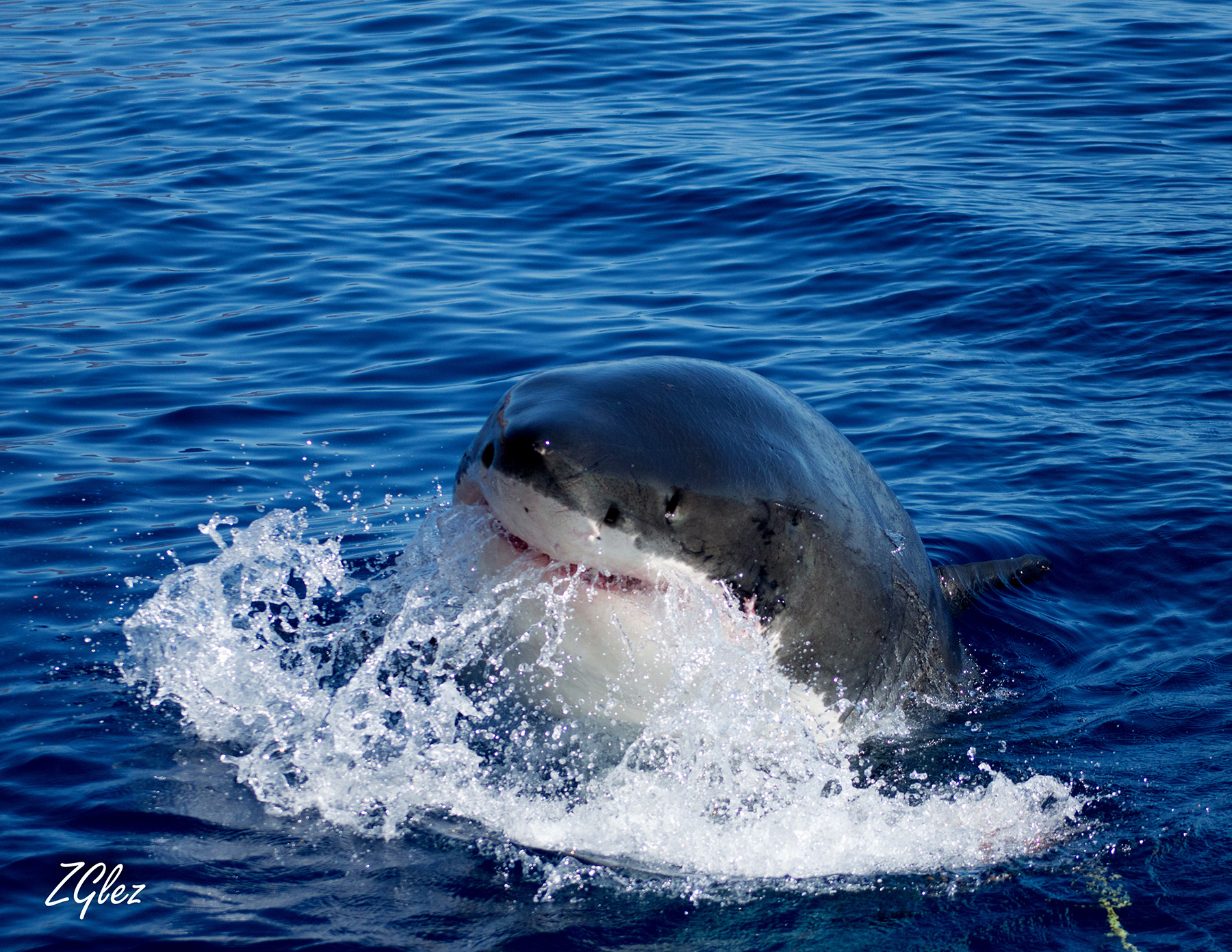 foto:Cesar Zahin Gonzalez soto - lo hecho en México