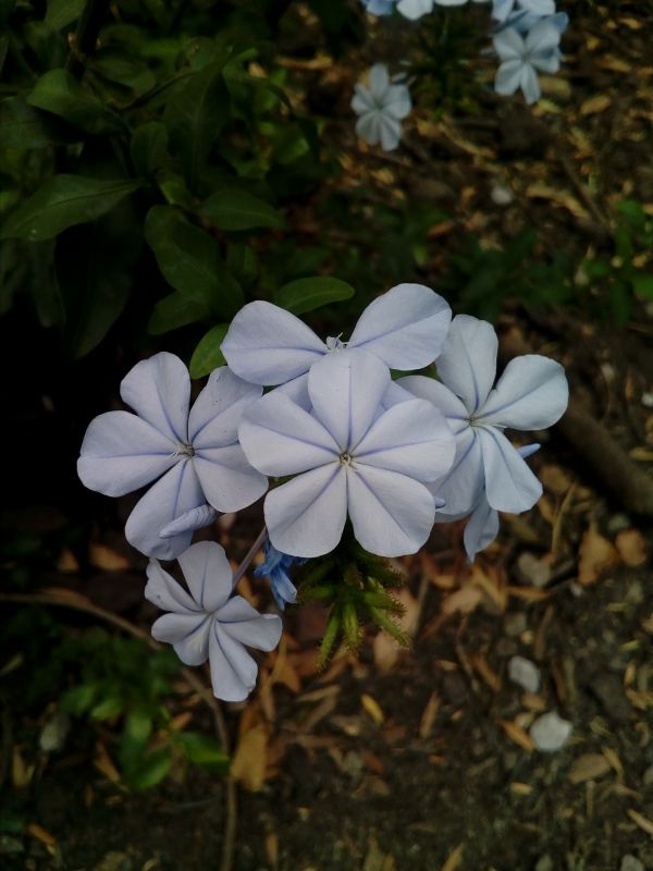 foto:Lucero Maya Alva - lo hecho en México