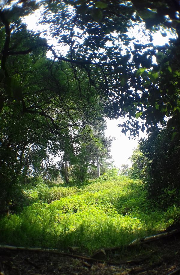 foto:Jennifer Fernanda  López  Irene  - lo hecho en México