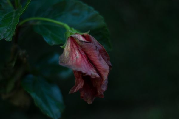 foto:Fernanda Utrera Pérez  - lo hecho en México