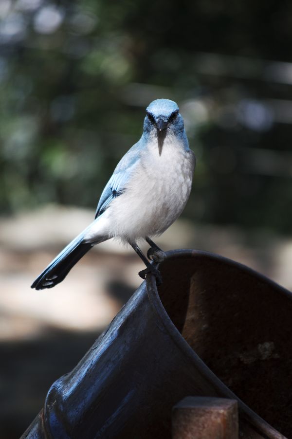 foto:Ilse del Carmen Hernández López - lo hecho en México
