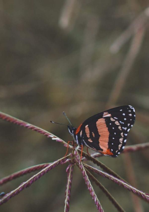 foto:Reyna Barriga sosa - lo hecho en México