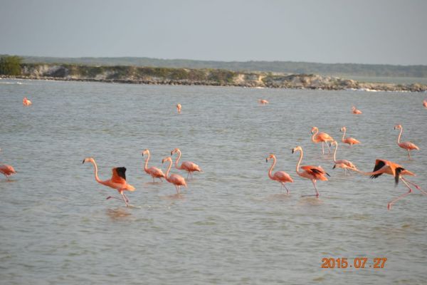 foto:Diana Kuri Garcia - lo hecho en México