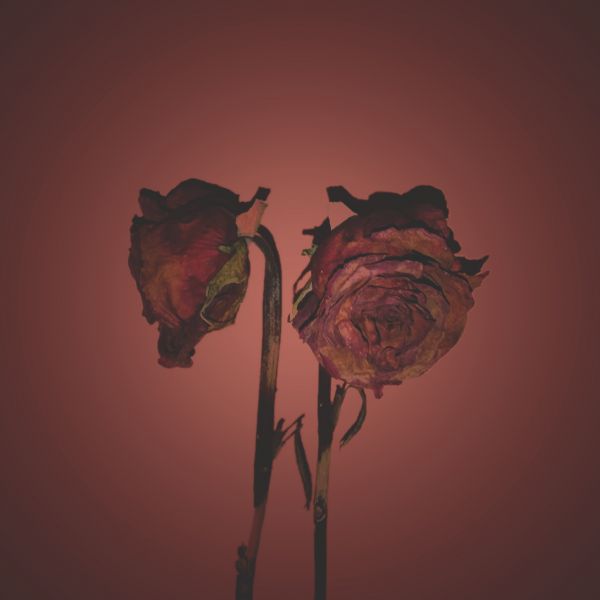 foto:Roberto Carlos Hernández  Vega  - lo hecho en México